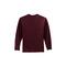 Port & Company® Color Long Sleeve Essential T-Shirt